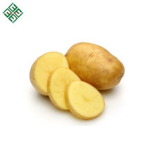 Batata Frita de Fazenda / Batata de Alta Qualidade / Batata de Diamante